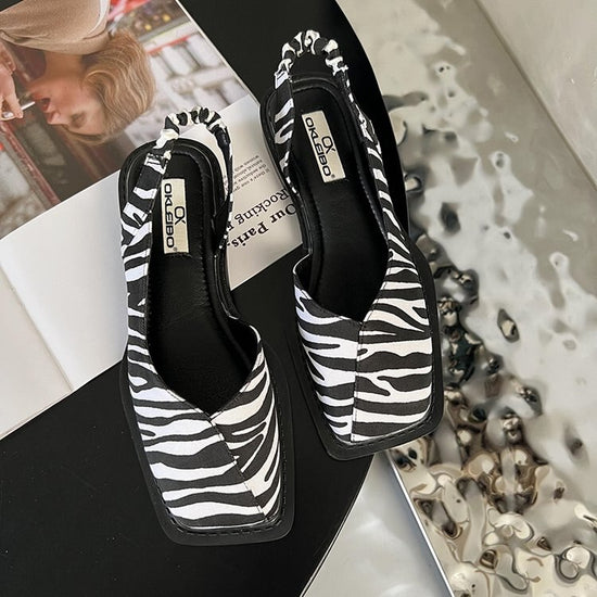 zebra